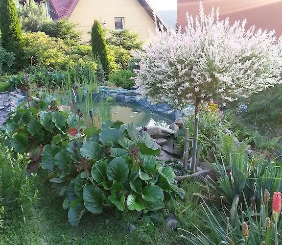 Privat bolig U Andrzeja Duszniki Zdrój